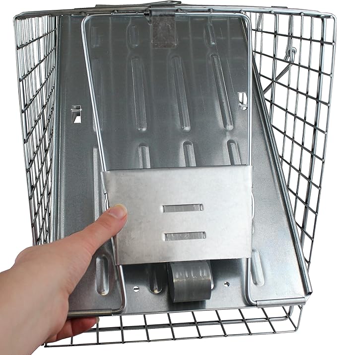 HAVAHART 1079SR Large 1-Door Humane Catch and Release Live Animal Trap Cage - Live Raccoon Trap for Bobcats Beavers Dogs &amp More