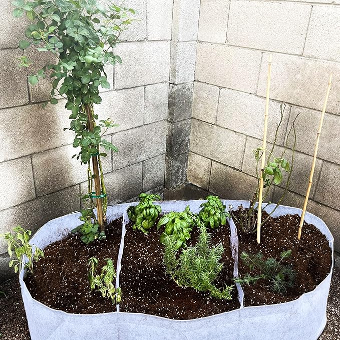 CJGQ 5x2.5x1ft Fabric Raised Garden Bed 65 Gallon Planter Large Oval Garden Boxes Outdoor for VegetablesFlowers and Potato