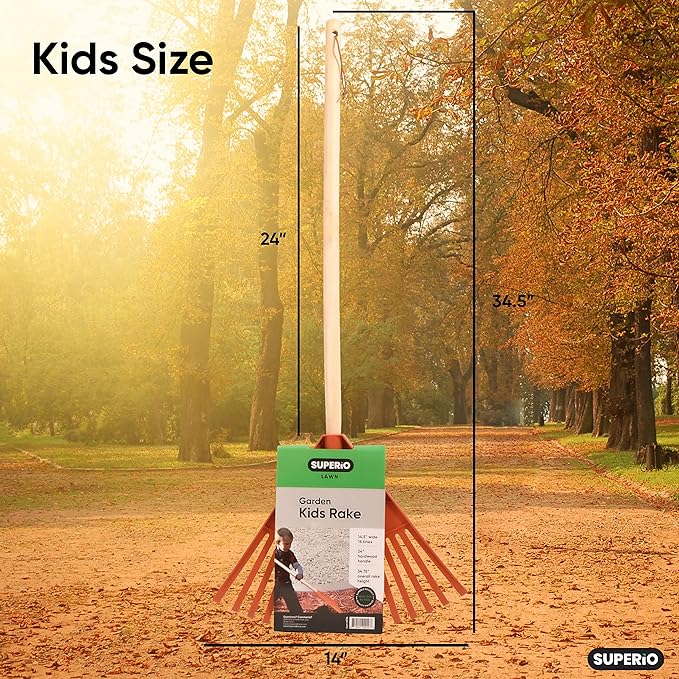 Superio Kids &amp Adult Rakes with Hardwood Handle Durable Plastic Head to Sweep Leaves in Lawn and Tidying Up The Garden Kids Size 34 Adult Size 61