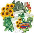 Botanical Interests: The Beginner Garden Seed Bundle - 11 Individual Seed Packets: Non-GMO Easy-to-Grow Vegetable &amp Flower Seeds: Starter Kit for New Gardeners