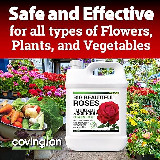 Covington Liquid Rose Fertilizer for All Types (1 Gal) – Liquid Concentrate for Desired Rose Tone – Natural Flower Bush Fertilizer for Indoor &amp Outdoor Use – Bloom Growth Plant Food
