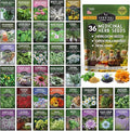 Ultimate Medicinal Herb Seeds Variety Pack – 36 Heirloom Non-GMO Healing Herbs for Planting | Wellness &amp Apothecary Garden Kit for Herbalists Homesteaders – Survival Garden Seeds (28000+)
