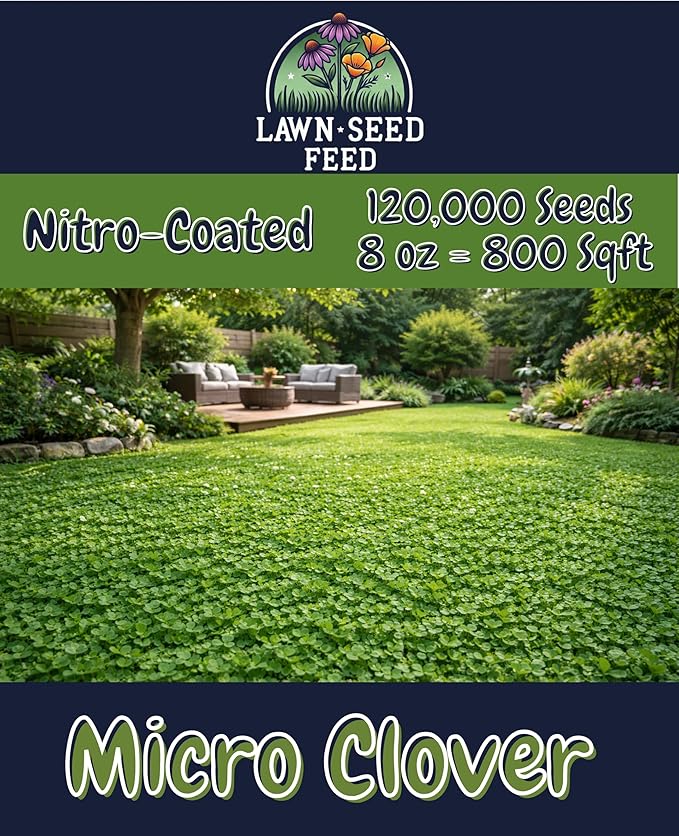 Micro Clover - (1LB) Nitro-Coated 240000 Total Seed - Covers Up to 1600 Sqft! Transform Your Lawn with Seeds That are Eco-Friendly Low Maintenance and Drought-Tolerant.