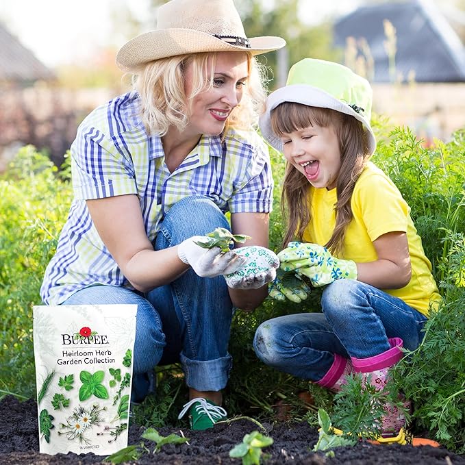 Burpee Heirloom Herb Seeds Variety Pack Non-GMO 16 Herbs - 15000+ Seeds with Basil Chives Catnip Chamomile Cilantro Dill Lavender Oregano Parsley Rosemary Spearmint Sage Tarragon Thyme