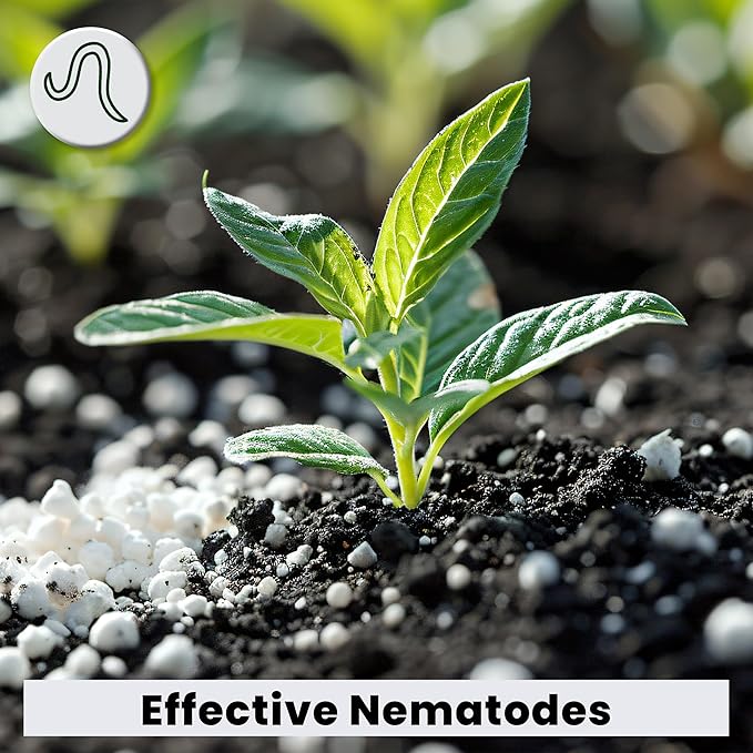 The Environmental Factor NemaKnights Slow-Release Nematodes - Biological Pest Control for Fungus Gnats Thrips &amp Whiteflies (280g Treats Up to 50 Planters)