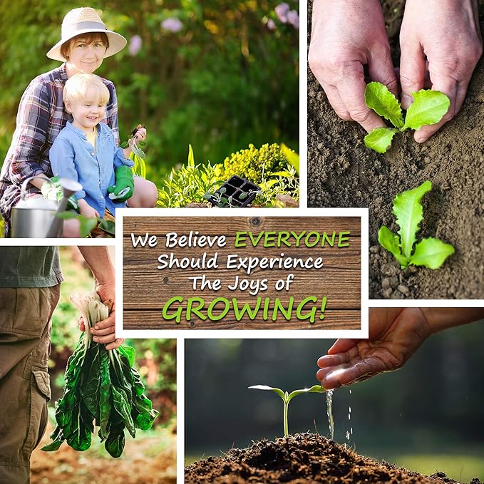 Bodacious R/M Hybrid Corn Garden Seeds (Treated) - 5 Lb ~10155 Seeds - Non-GMO SE (Sugary Enhanced) Vegetable Gardening