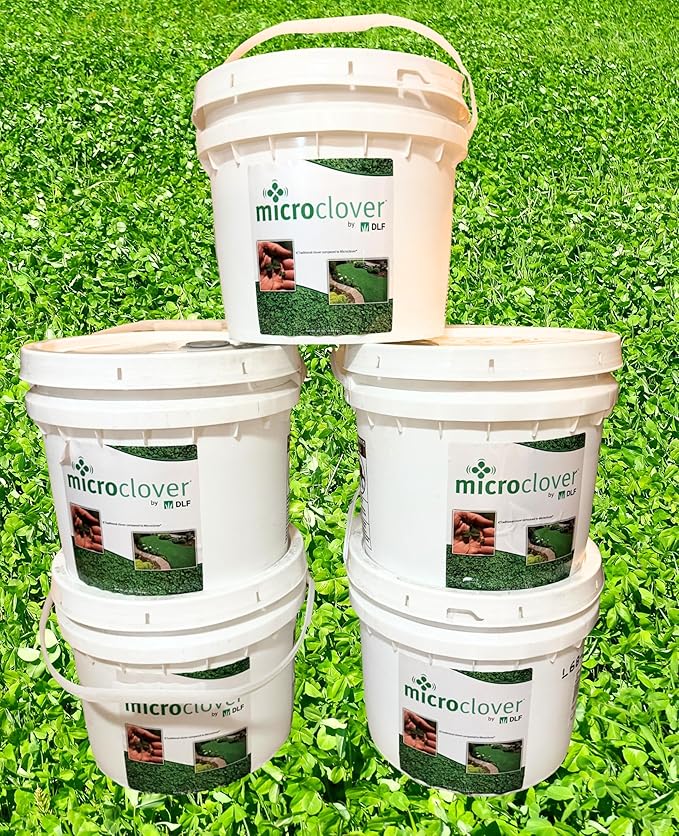 Micro Clover - (8oz) Nitro-Coated 120000 Total Seed - Covers Up to 1000 Sqft! Transform Your Lawn with Seeds that are Eco-Friendly Low Maintenance and Drought-Tolerant.