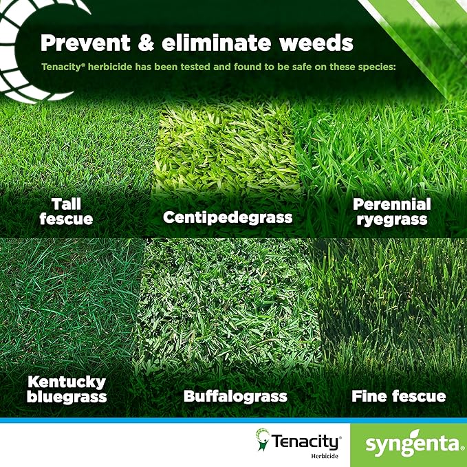 Syngenta Tenacity Herbicide - Pre-Emergent and Post-Emergent Weed Control 8-oz. Liquid Weed Killer for Lawns and Turf Grasses Active Ingredient Mesotrione Herbicide (3 Pack)