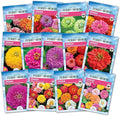 Ferry-Morse Zinnias Galore Seed Variety Pack - 13 Pack
