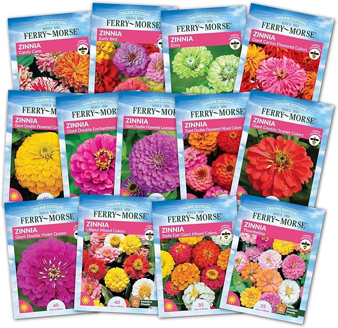 Ferry-Morse Zinnias Galore Seed Variety Pack - 13 Pack