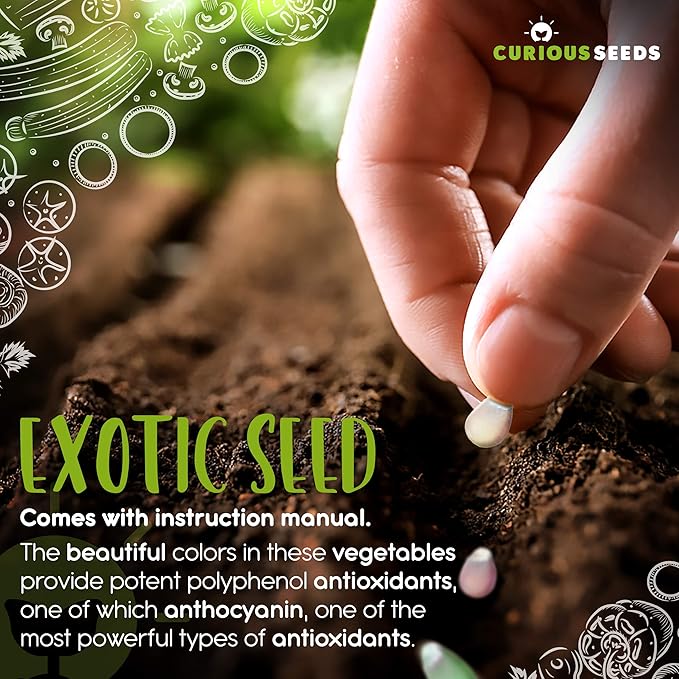 Exotic Vegetable Seeds Variety Pack - 6 Curious Garden Varieties to Grow Non GMO Open Pollinated Heirloom and Untreated for Planting Unique Gardening Gift for Indoors and Outdoors