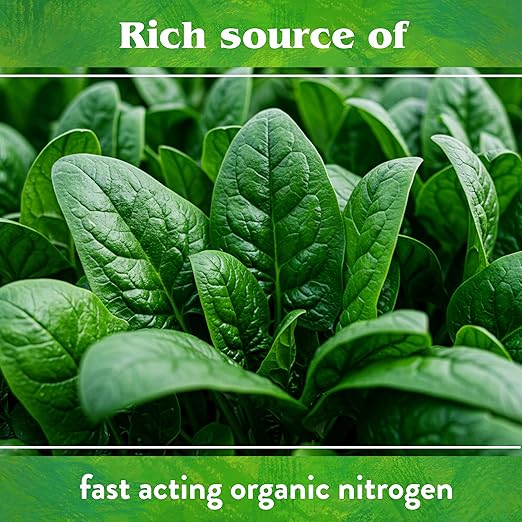 Down To Earth All Natural Fertilizers Organic Blood Meal - High Nitrogen Plant Food for Green Growth 12-0-0 4 lb