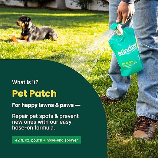 Sunday Pet Patch - Lawn Spots Repair - Repair &amp Prevent Grass Pet Spots - Easy Hose-On Formula - Covers Up to 2500 sq ft - 2 Pack - 42 Fl Oz