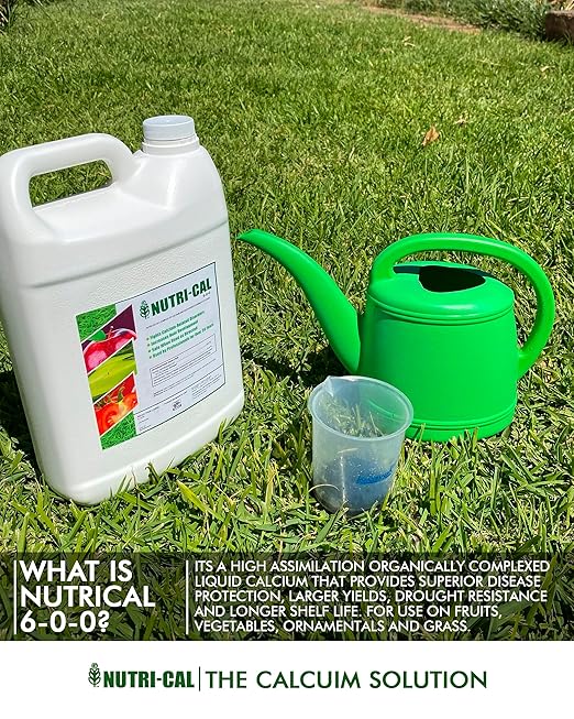 Liquid Calcium Fertilizer for Tomatoes and Vegetables – Prevent Blossom End Rot – Fast-Acting Plant Calcium Supplement for Healthy Growth