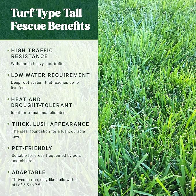 Nature’s Seed Triple-Play Turf Type Tall Fescue Grass Seed Blend High-Traffic Heat and Drought Tolerant for Garden Lawn Yard 5 Lbs