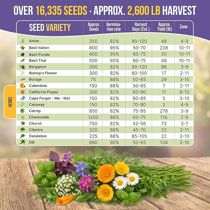 35 Medicinal &amp Tea Herb Seeds Variety Pack for Indoor &amp Outdoors. 16335+ Non-GMO Heirloom Garden Seeds: Anise Bergamot Borage Cilantro Chamomile Dandelion Rosemary Seeds &amp More