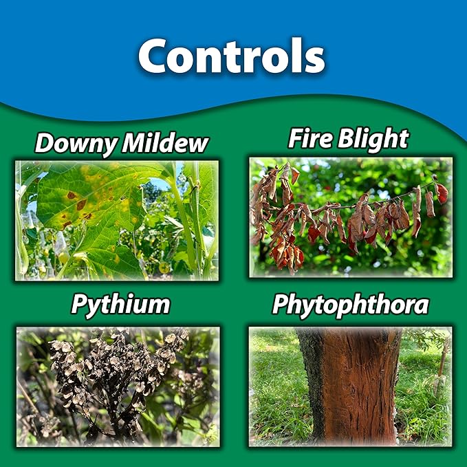 Monterey Garden Phos Bundled with Measuring Spoon - Fungicide for Root Rot Downy Mildew Fire Blight Sudden Oak Death Phytopthora &amp Pythium - 1 PT