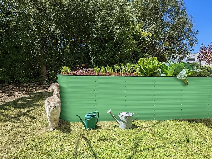 Plant &amp Plot Galvanized Raised Garden Beds Outdoor // 8×2×2 ft Planter Raised Beds for Gardening Vegetables Flowers // Large Metal Garden Box (Light Green) // Patented Tool-Free Design
