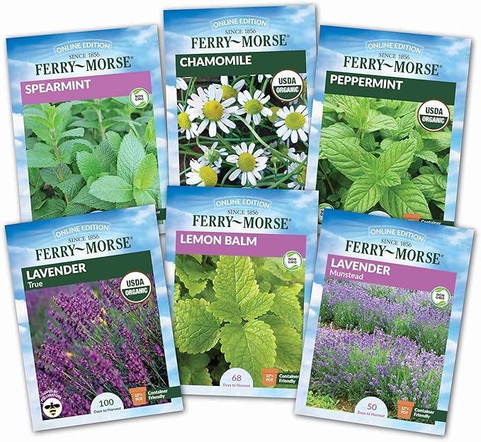 Ferry-Morse Herb Plants - High Germination Rate GMO Free Indoor Tea Herb Kit - 6 Pack
