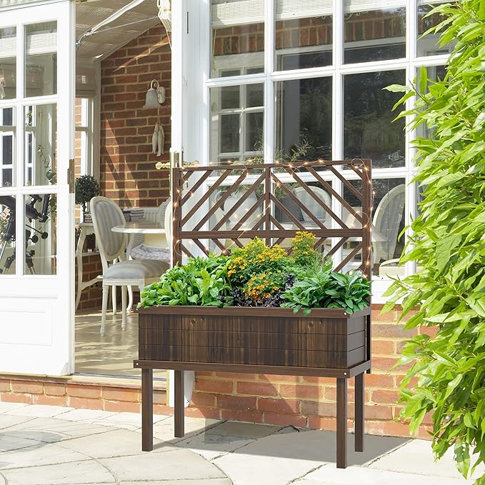 Carbonized Wood Raised Garden Bed with Stylized Trellis Spacious Self Draining for Climbing Plants Vegetables and Grape Vines Perfect for Outdoor Gardens and Patios