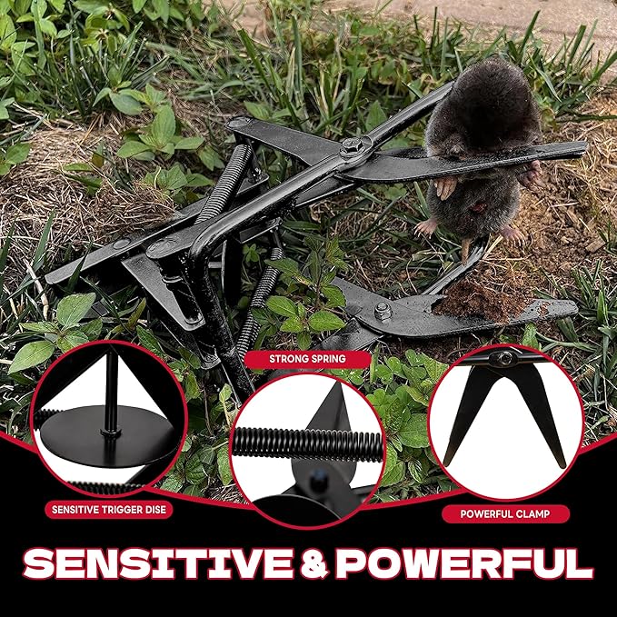 Mole Traps 2 Pack Scissor Mole Trap That Kill BestMole Traps for Lawns GroundEasy Step Mole EliminatorBlack Coated
