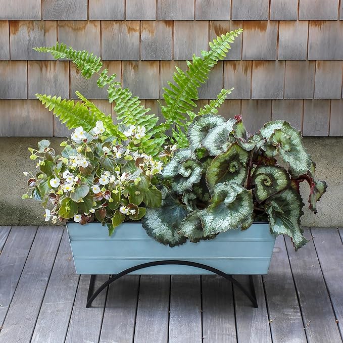 Bloom Box Garden Growing Kit Medium Blue with Odette Stand