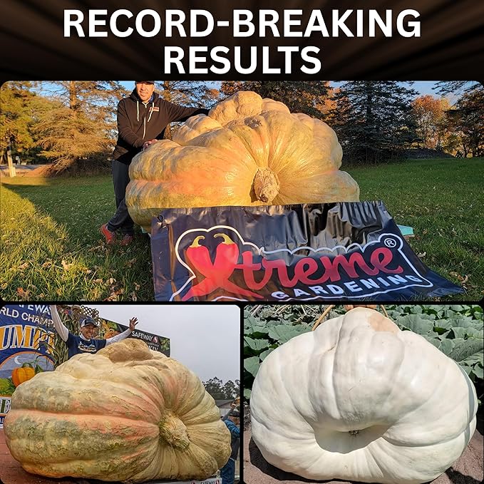 Xtreme Gardening Mykos WP - Wettable Powder Hydroponic Root Enhancer 12 oz