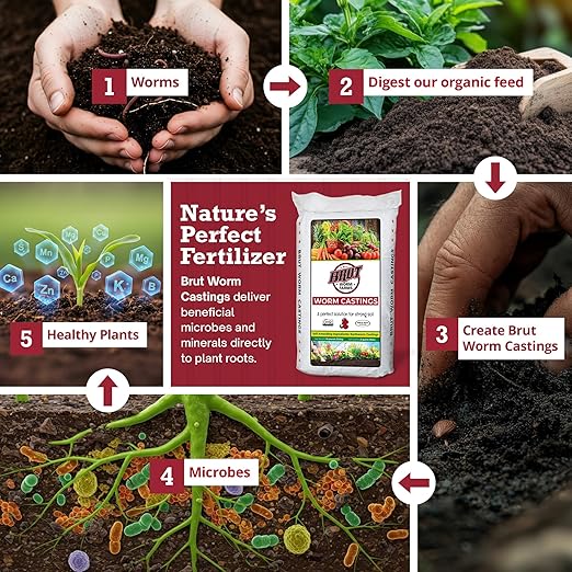 Brut Worm Farms 2-Pack Organic Worm Castings Fertilizer 30 lb - Natural Soil Amendment for Plants Potting Mixes Indoor and Outdoor Gardens Vegetables and Lawns