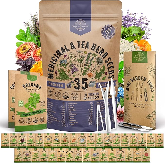 35 Medicinal &amp Tea Herb Seeds Variety Pack for Indoor &amp Outdoors. 16335+ Non-GMO Heirloom Garden Seeds: Anise Bergamot Borage Cilantro Chamomile Dandelion Rosemary Seeds &amp More