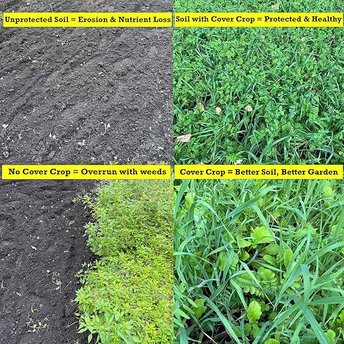 Peas Oats Vetch Garden Cover Crop Mix Seeds for Planting - 2.5 lb Jug - Improves Soil Health Weed Suppression Nitrogen Fixation Increases Biomass