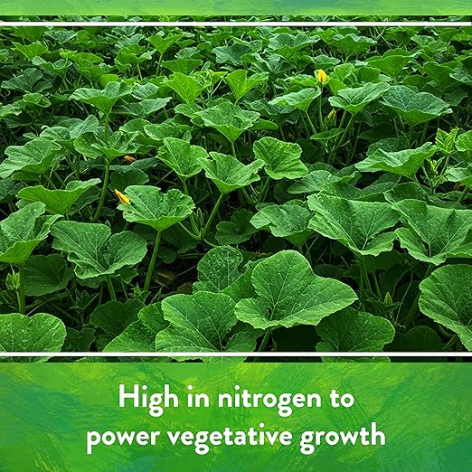 Down To Earth All Natural Fertilizers Organic Bat Guano - High Nitrogen Plant Food for Vegetative Growth 7-3-1 10 lb