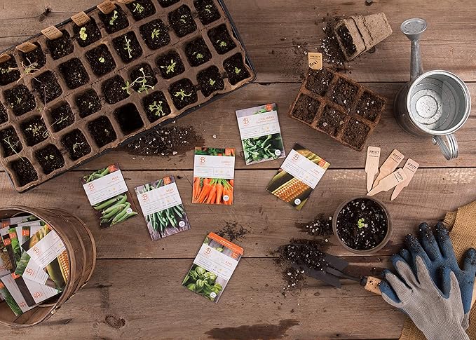 Vegetable and Herb Seeds Variety Pack for Home Garden Planting AB