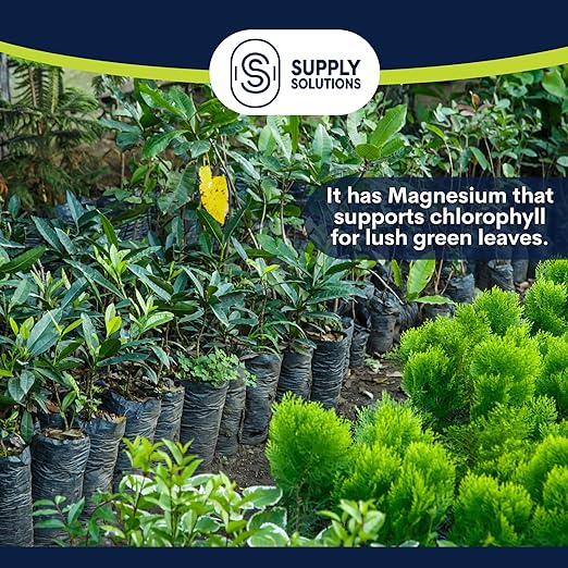 Supply Solutions 12-6-6 Ornamental Booster Fertilizer - Plant Food Topdress on Foliage Nurseries and Landscapes - Controlled Release NPK Plant Fertilizer with Macro and Micro Nutrients (5lbs)