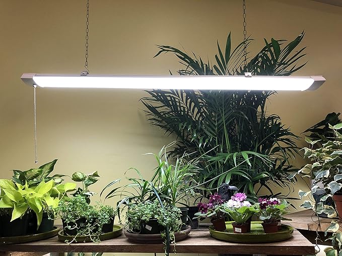Miracle LED 4-Foot 55W Full Spectrum Grow Light for Kitchen Herbs