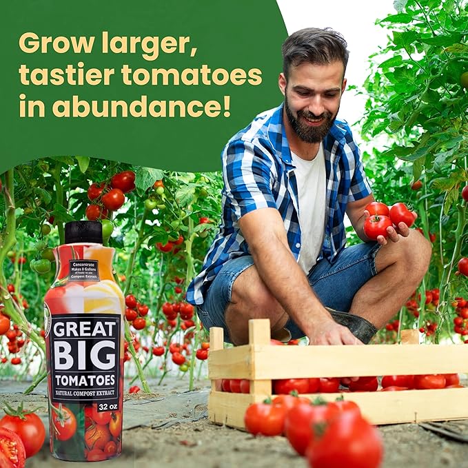 Great Big Tomatoes Soil &amp Fertilizer Booster for Big Vegetable Yields Better Fertilizer &amp Plant Food Efficiency and Garden Performance. Perfect for Beginners. 32 Ounce Concentrate (Makes 8 G