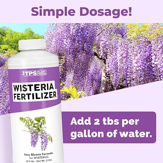 Wisteria Fertilizer – Liquid Plant Food for More Blooms Stronger Vines &amp Healthy Root Development 32 oz
