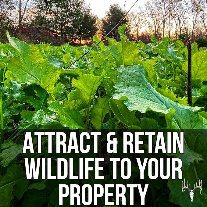 Crooked Bend Branson's Buffalo Blend 25LB Bulk Whitetail Food Plot Seed for Deer Turkey Pheasant Dove Elk &amp Duck Plant Seeds Grow Forage to Feed &amp Attract Wildlife to Hunting Plots No