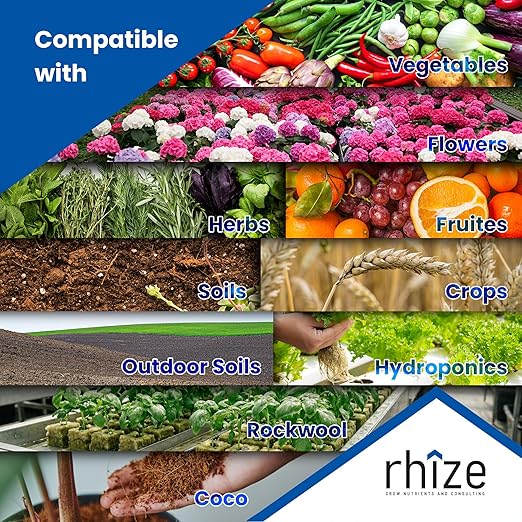 4L Vegetative Nutrient Set 2-Part Grow Nutrient Formulation Yield Increasing Plant Nutrient Kit Perfectly Balanced Formulation That Doesn't Need Calmag or Bud Boosters Easy to Use Plant Food (4L)