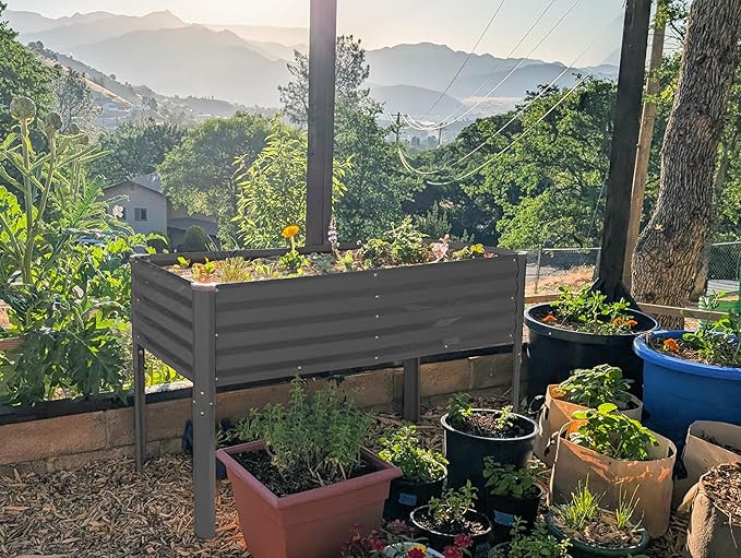 Galvanized Raised Garden Beds Outdoor with Legs // 48×24×31in Elevated Planter Box for Vegetables Flowers (Gray) // Large Metal Garden Bed for Backyard Patio Gardening