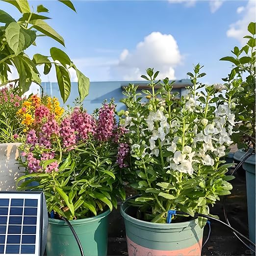 RISINGUP 49FT Solar Drip Irrigation System Auto Plant Watering Kit with Anti-Siphoning Device 750ml/min Flow with 2200mAh Battery for 15 Potted Plants Outdoor Garden Patio Balcony Greenhouse