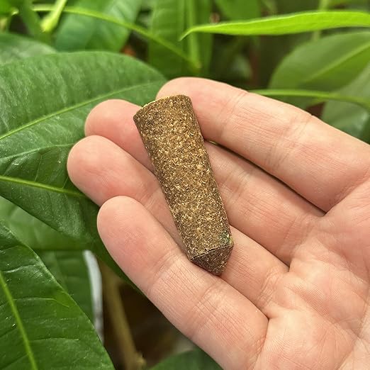 The Old Farmer's Almanac Houseplant &amp Flower Plant Food Mini Spikes - NPK 5-5-5 for Continuous Feeding and Vibrant Colors (72 Mini Spikes)