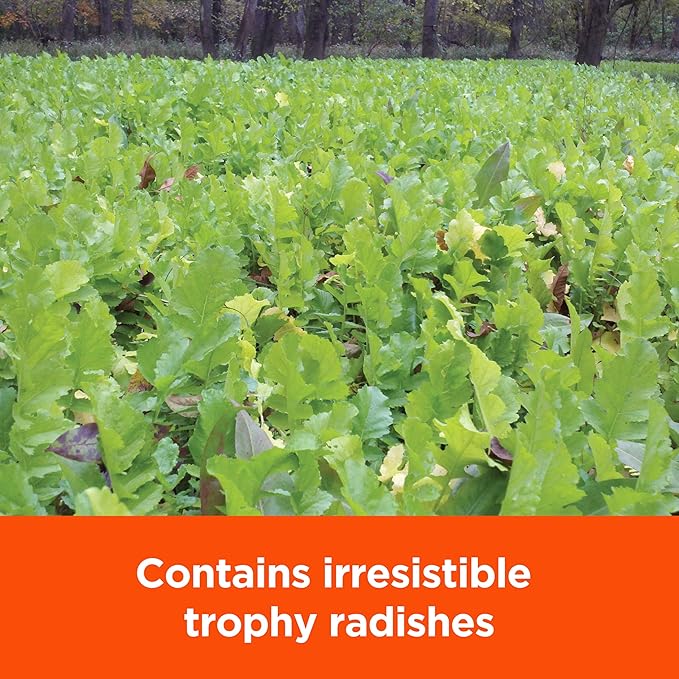 Pennington 100504528 Rackmaster Trophy Radishes Food Plot Seed Mix 5 lb None