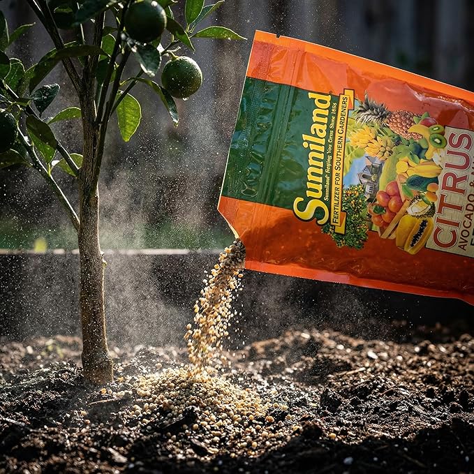 Avocado and Mango 6-4-6 Plant Fertilizer – 20 lb Bag – Granular Plant Food for Avocado Mango &amp Citrus Trees – Supports Steady Growth &amp Seasonal Feeding – Balanced 6-4-6 Garden Formula
