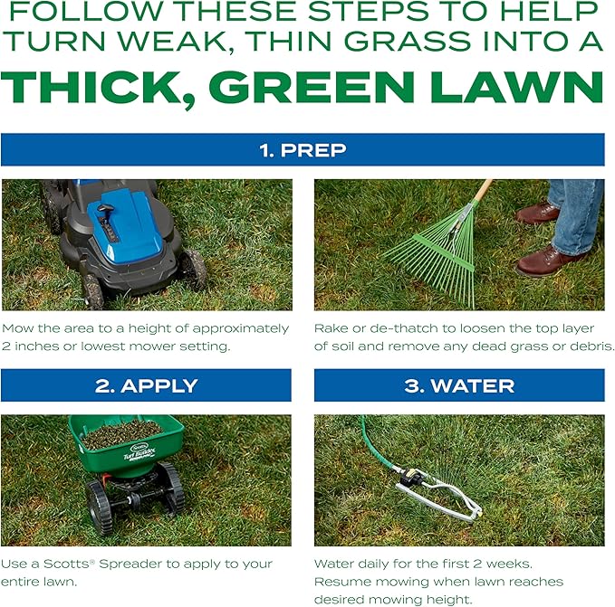 Scotts Turf Builder Thick'R Lawn Sun and Shade Combination Seed Fertilizer and Soil Improver Thickens Thin Grass 10 lbs.