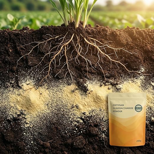 Chitosan Oligosaccharide - Purity &gt99.5% Soil Activator Water-SolubleFertilizer Powder 200g For Plants Garden Fertilizer Fruits and Vegetables Easy-to-Follow Instructions (For Fertilizer Use Onl