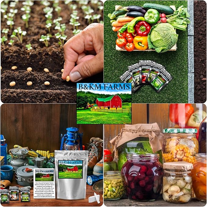 Beginner Survival Seed Vault: 20000+ Heirloom &amp Non-GMO Seeds (30 Easy to Grow Varieties) by B&ampKM Farms