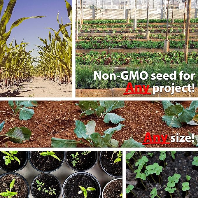 Mountain Valley Seed Company Vegetable Garden Can 50000+ Seeds 16 Varieties for Long Term Storage Emergency Supply Survival Include Tomato Pepper Squash Cucumber Lettuce Carrot &amp More