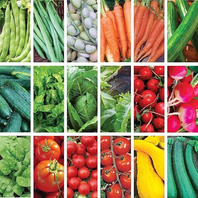 Ferry-Morse Vegetable Seed Bundle - Easy to Grow Non-GMO High Germination - 18 Pack