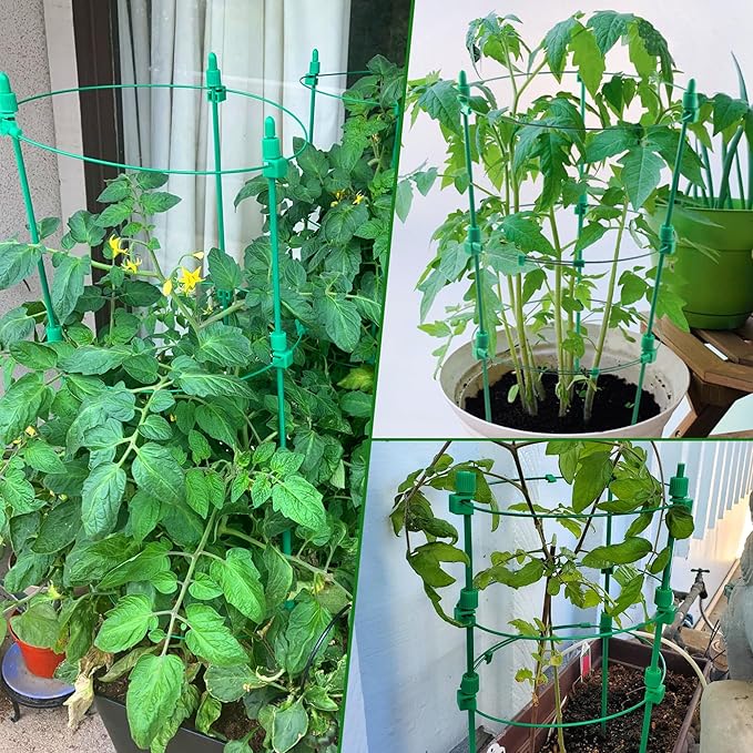 4 Pack Adjustable Tomato Cages 36 Inch Plant Support Garden Trellis for Tomatoes Cucumbers Vegetables Flowers Roses &amp Climbing Vines – 4 Adjustable Rings for Sturdy Growth