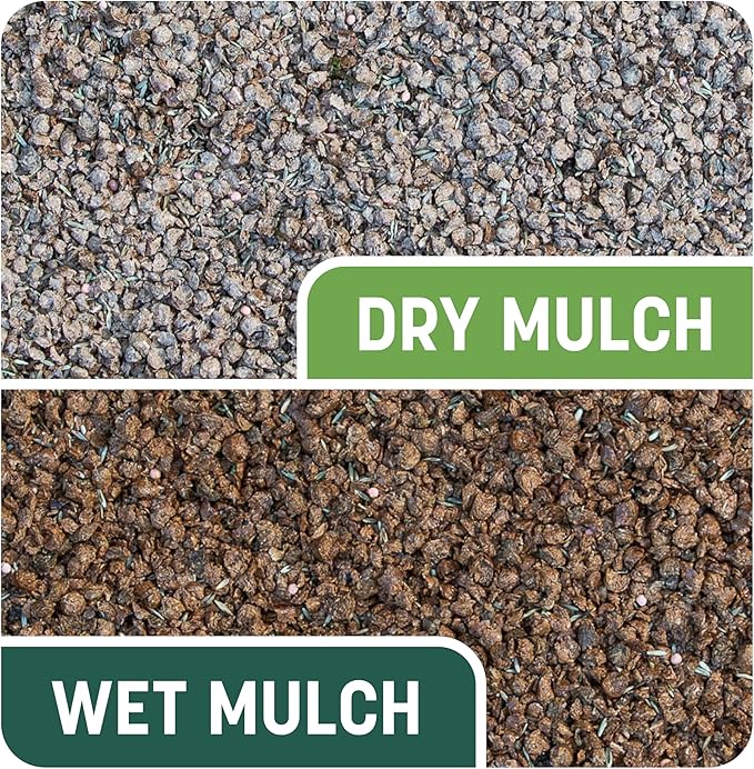 Pennington Smart Patch Tall Fescue 10lb 200 sq. ft. Grass Seed Bare Spot Repair with Mulch and Fertilizer